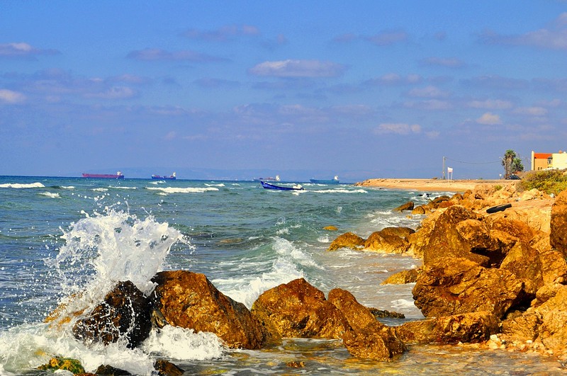 צילום: יוסי שניאור