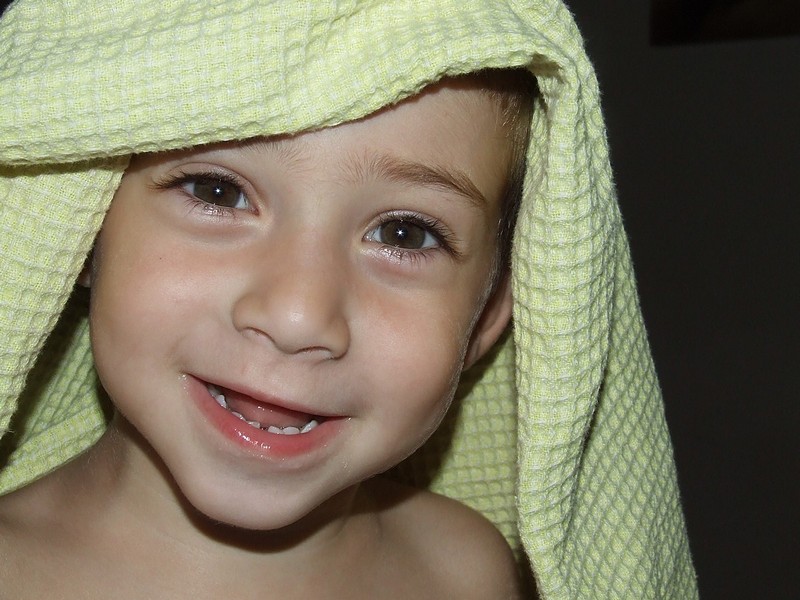 צילום: shlomi arie