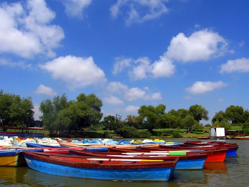 תרגיעו  לכאן 