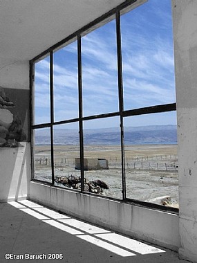 צילום: ערן ברוך