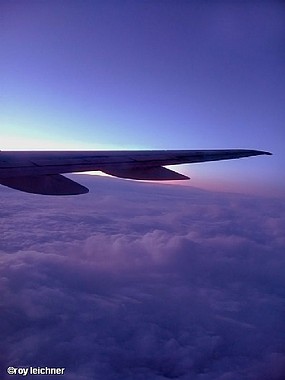 צילום: רועי לייכנר