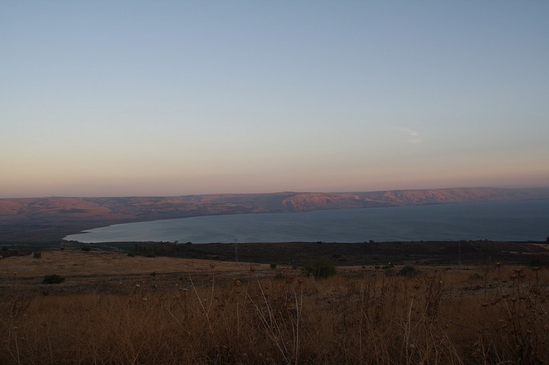 צילום: אורן דהן