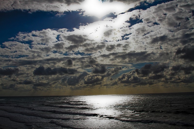 צילום: אריה יוסטר