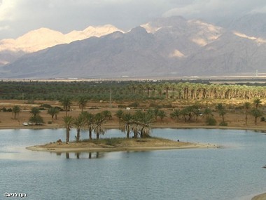 צילום: בעז לביא