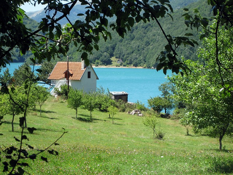 צילום: אריה יוסטר