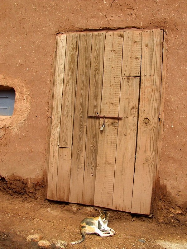 זרקו אותי מהבית
