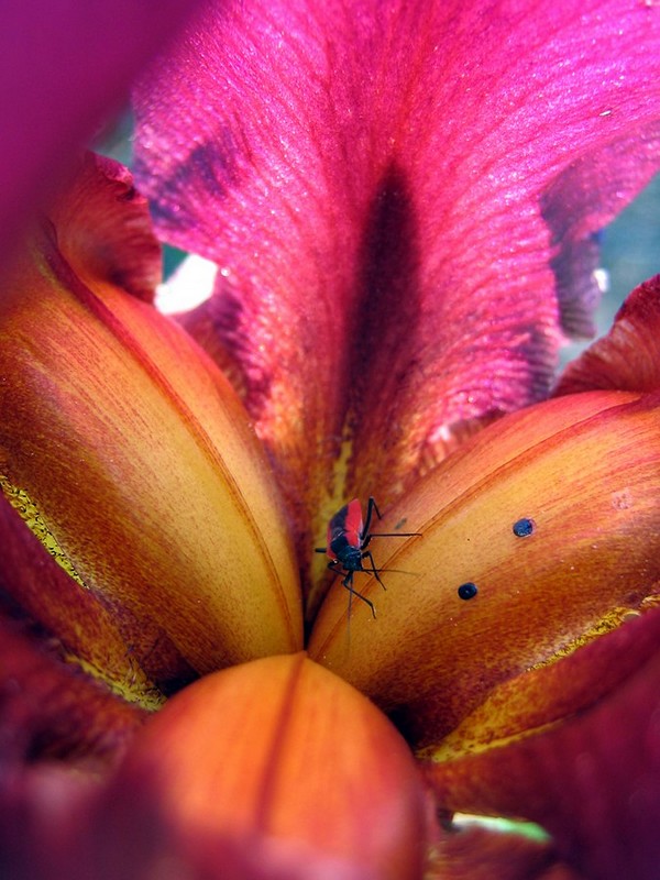 צילום: טלי נחום