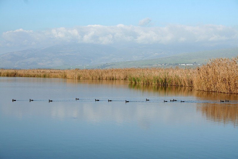 צילום: טלי נחום
