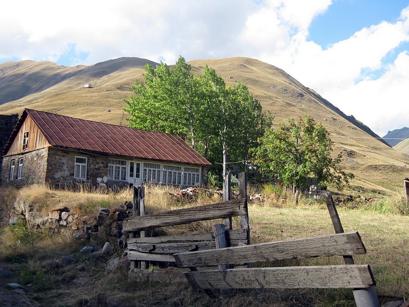 צילום: טלי נחום