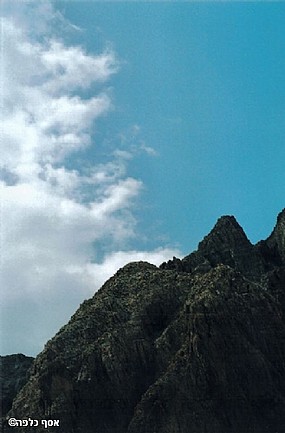 צילום: אסף כלפה