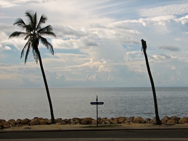 ים ושמיים קאריביים