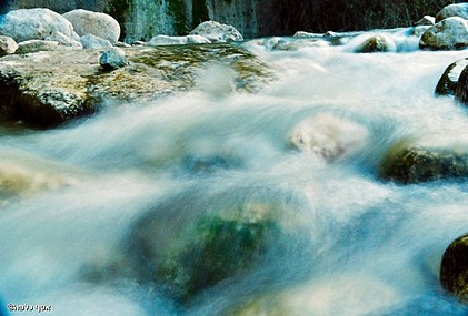 צילום: אסף כלפה