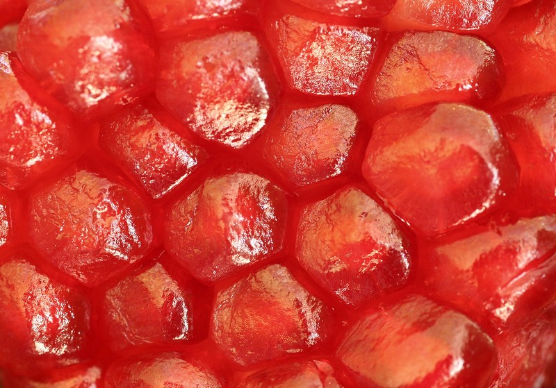 תרי"ג  מצוות 