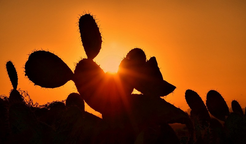"דחלפא אפתחא דגיהנום" 