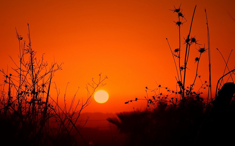 זהירות! החישן בסכנה