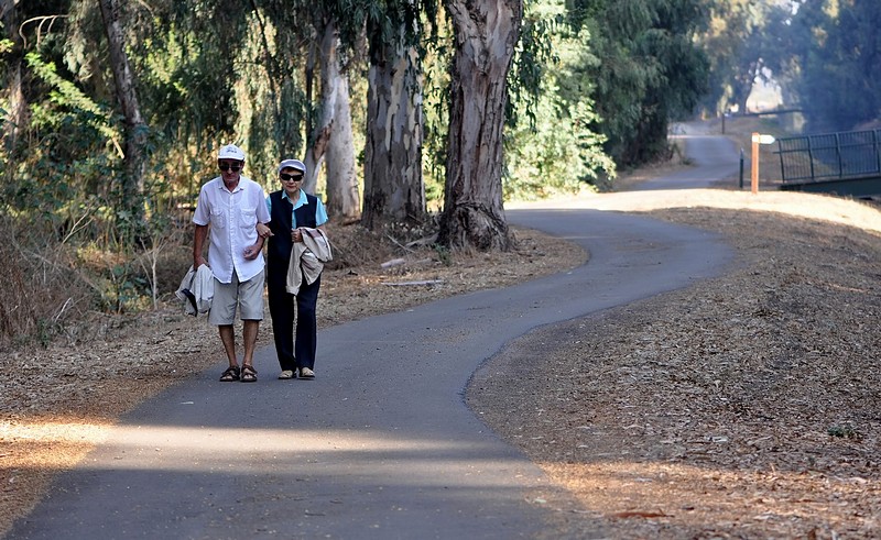 הדרך ארוכה ומפותלת