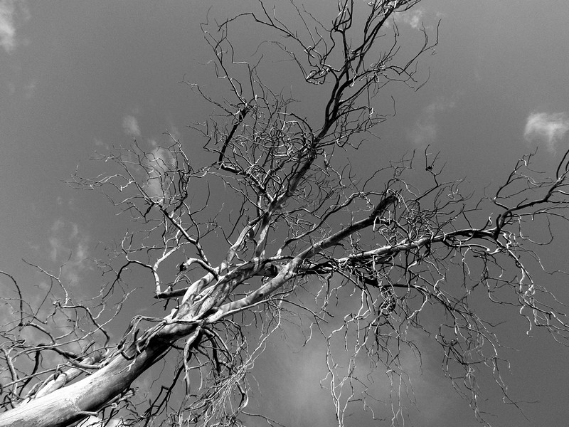 צילום: איתן מור