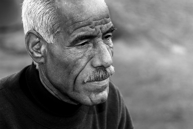 צילום: זאב סלבין