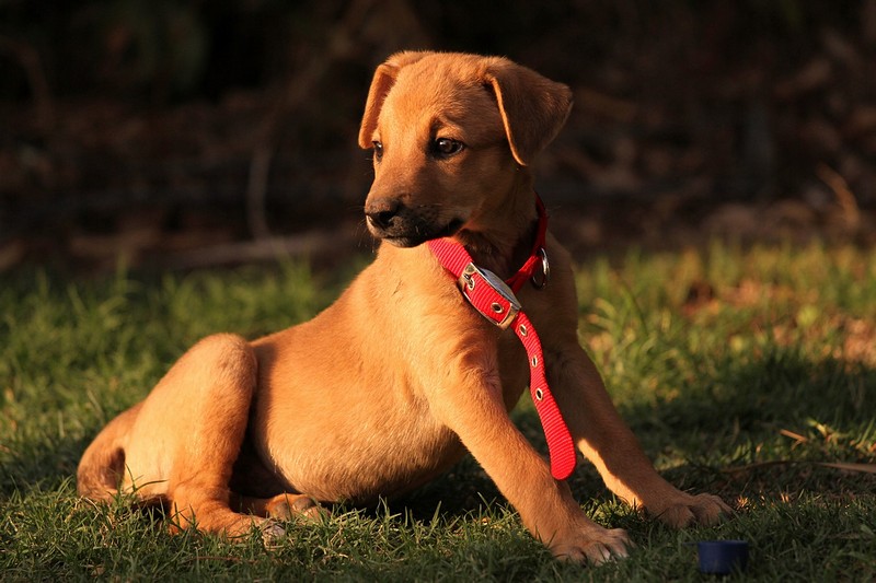 צילום: זאב סלבין