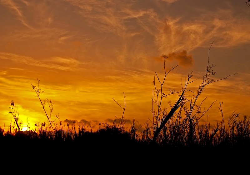 שקיעה מדברית