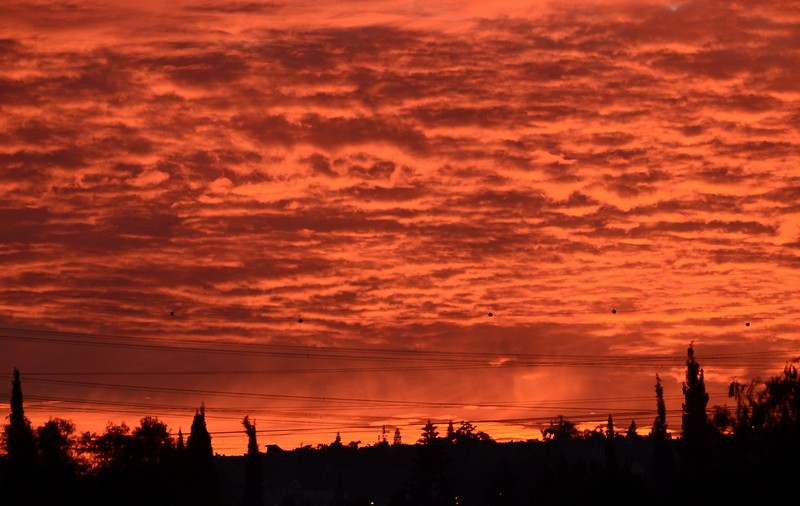 שמיים אדומים