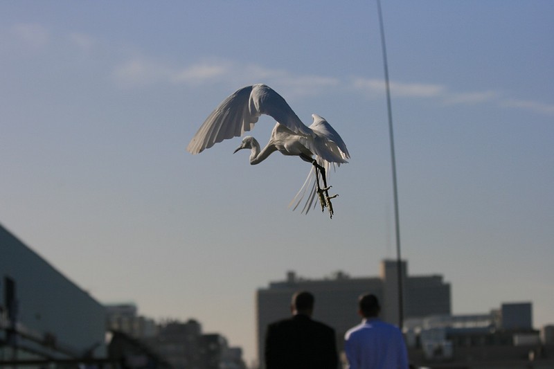 צילום: עידית לפיד