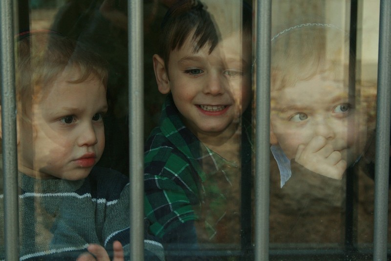 צילום: מור חוברה