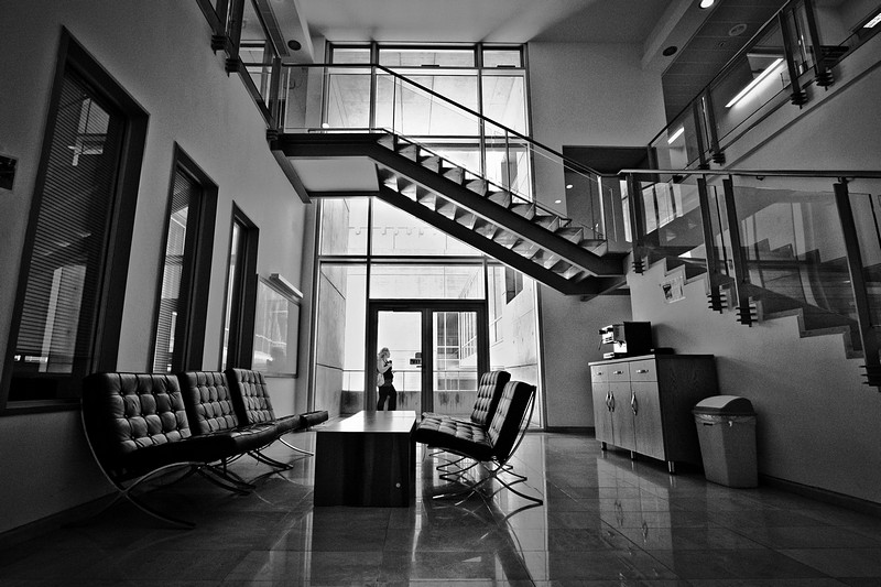 צילום: איציק פלטיאל