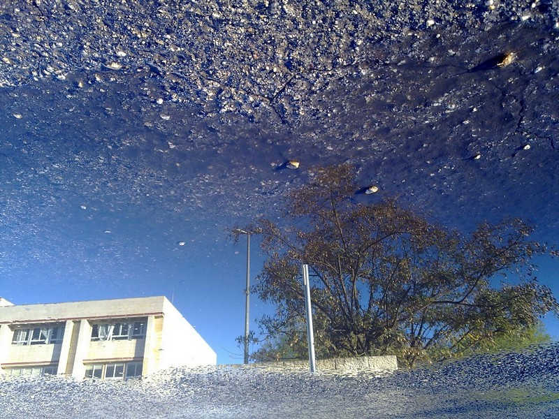 שלולית על כביש