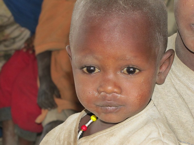 צילום: רונה  זערור 