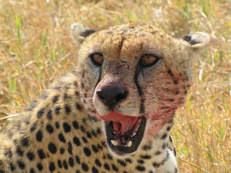 צילום: רונה  זערור 