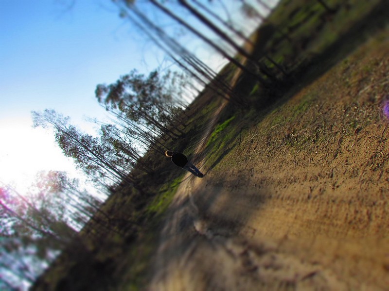 צילום: איתן מור