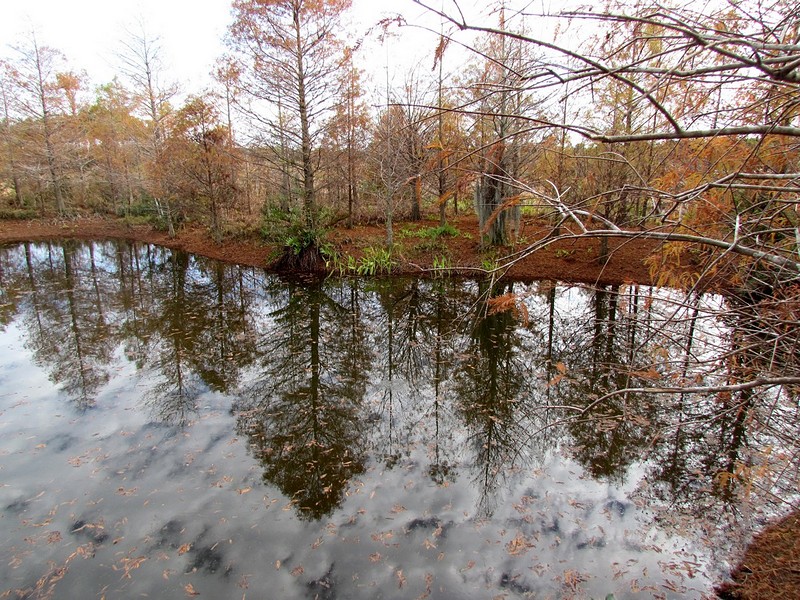 חורף בפלורידה