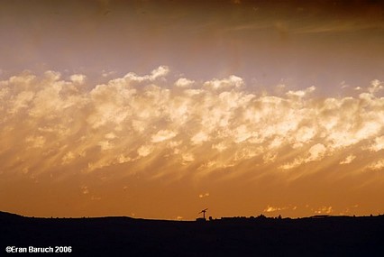 צילום: ערן ברוך