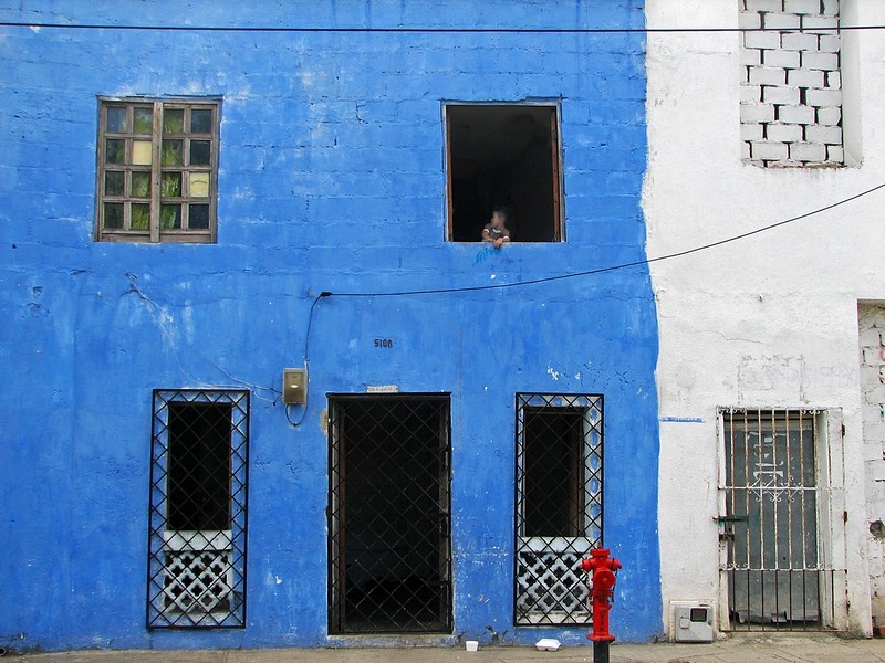 חלונות לעוני