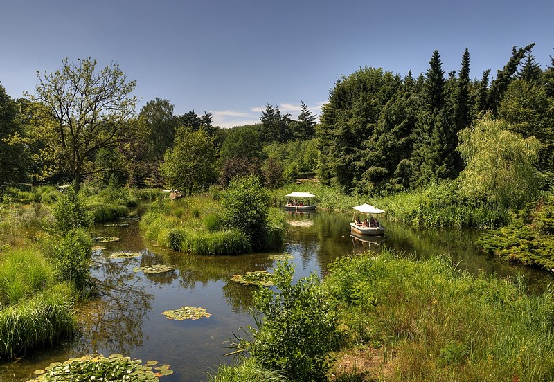 בוקר אביבי באגם