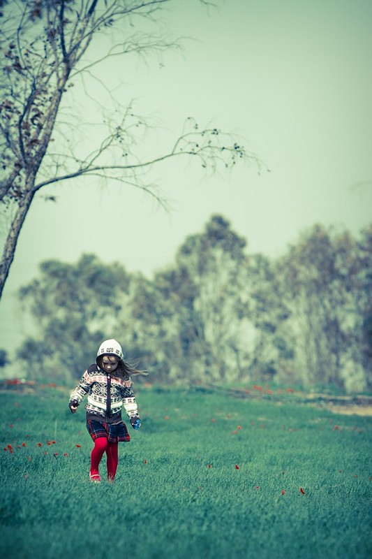 צילום: איציק פלטיאל