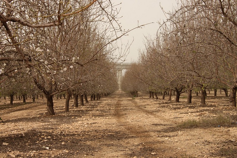 צילום: ישראל אקסלרד