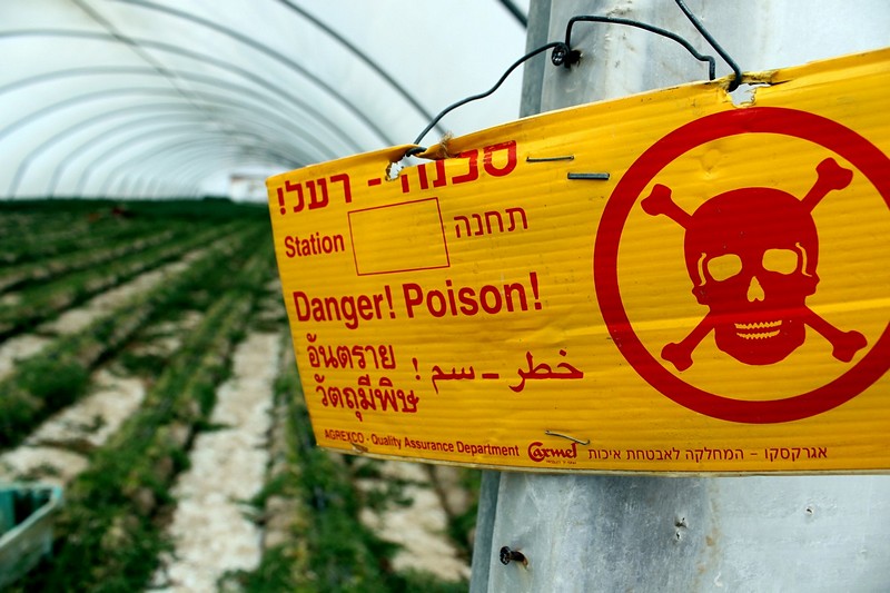 צילום: תמנע זאודר