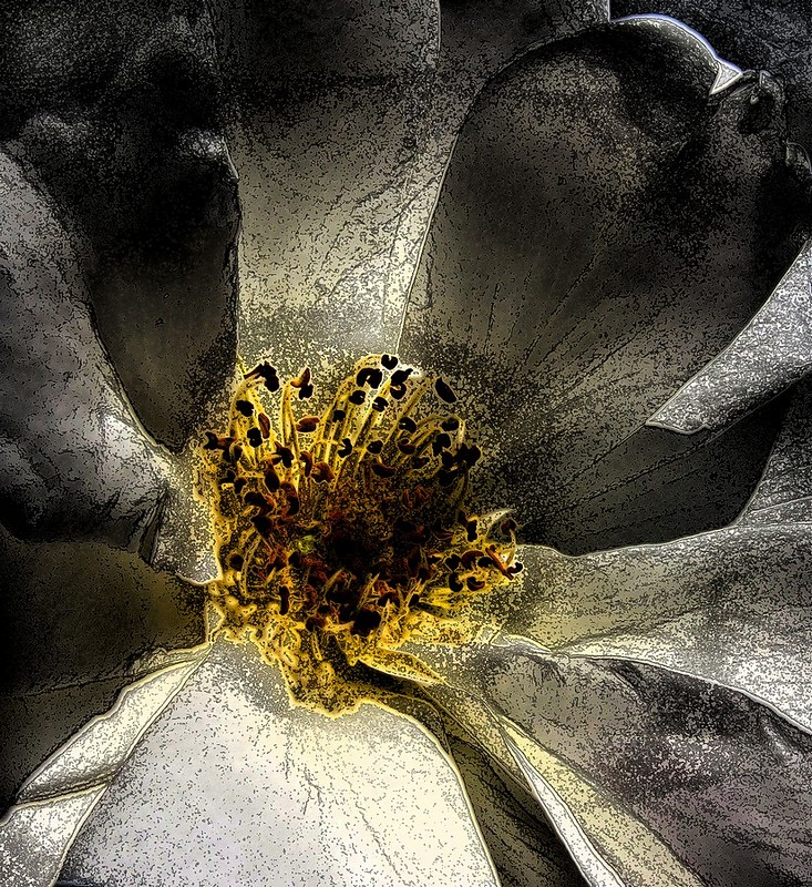 האור הפנימי