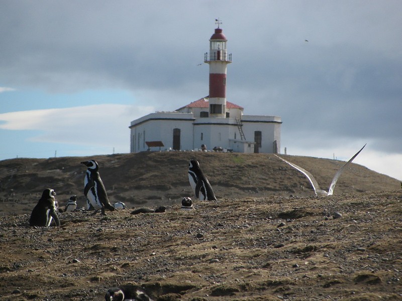 צילום: אלעד מזרחי
