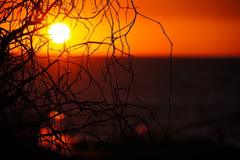 סופו של יום...