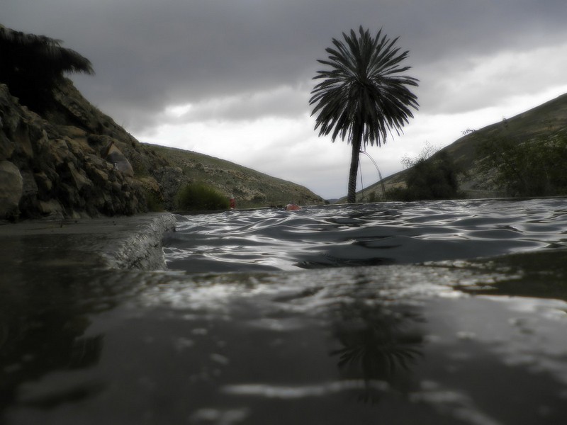 צילום: אבי נאבל