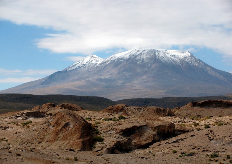 צילום: אלעד מזרחי