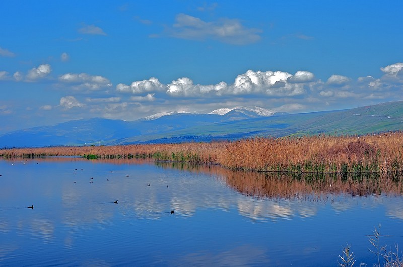 מול חרמון הסבא.