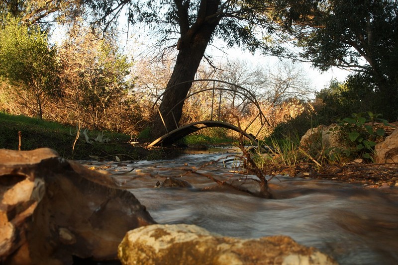 צילום: אביטל חייט