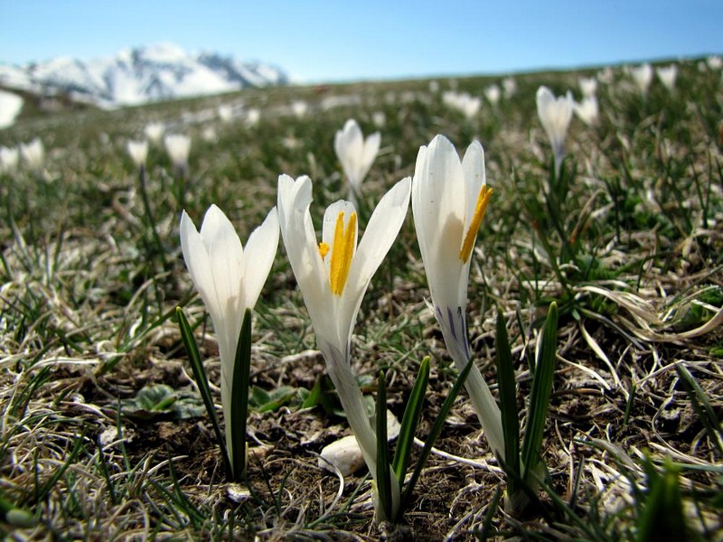 צילום: Amiel Giloni