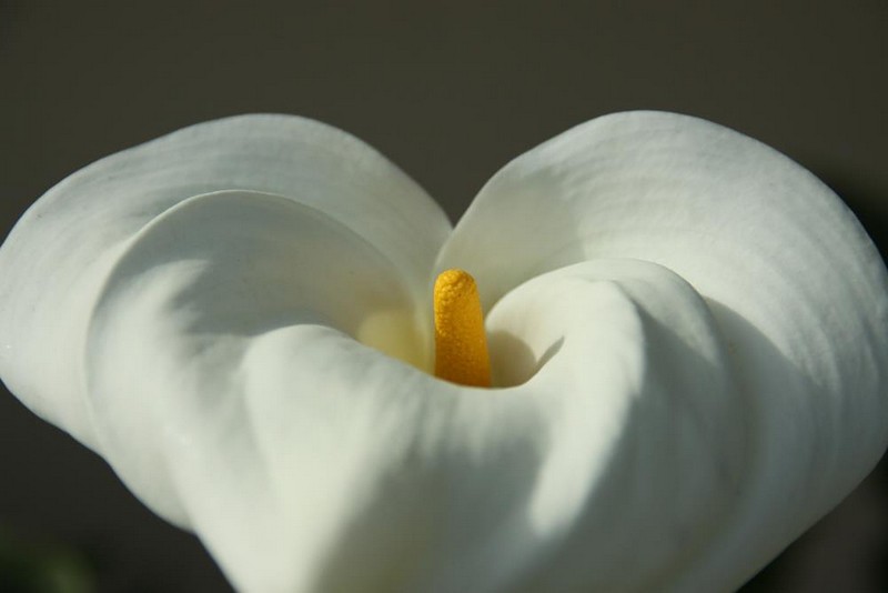 צילום: אסף דיין