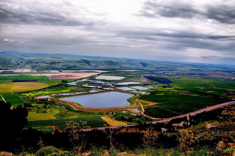 בוקר טוב אגמון החולה