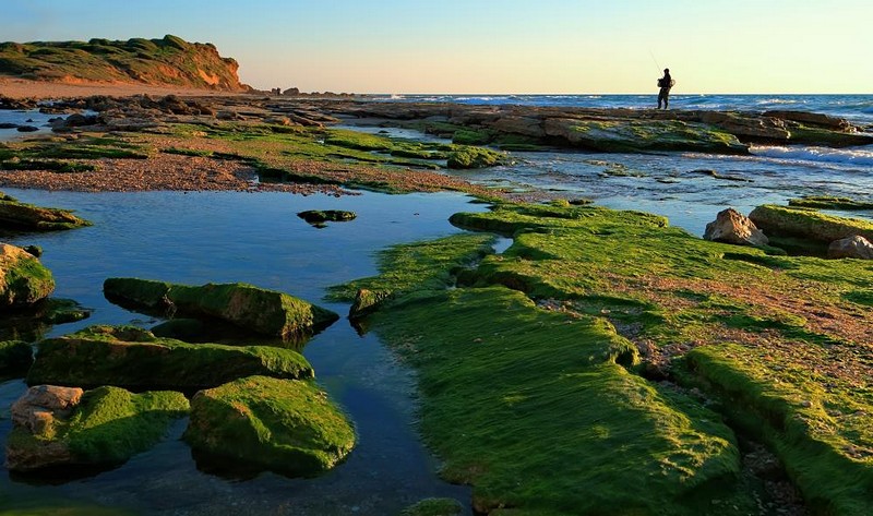 צבעים של חוף 